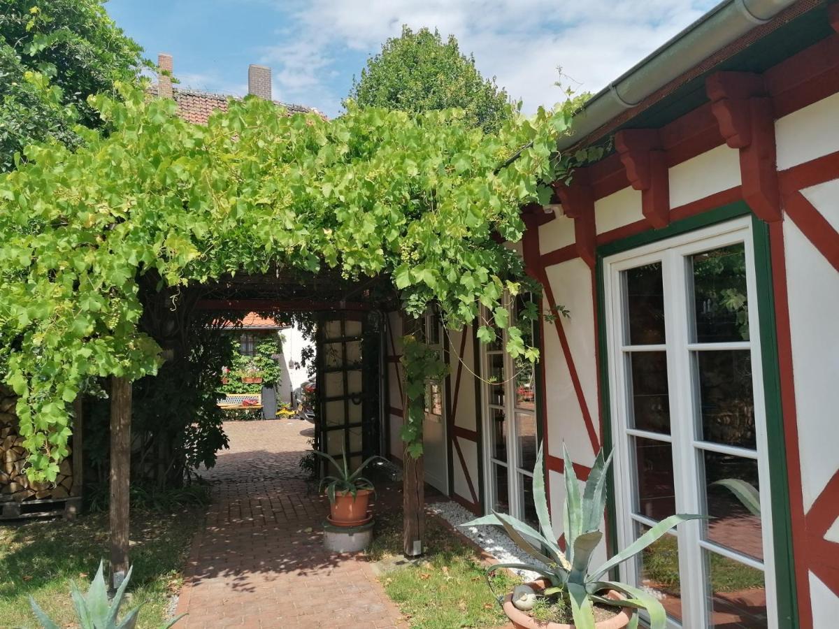 Stilvolles Ferienhaus Artdeco Wernigerode Kültér fotó
