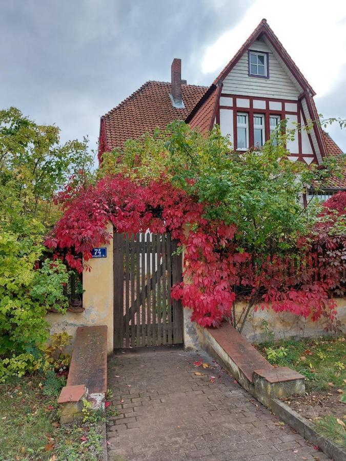 Stilvolles Ferienhaus Artdeco Wernigerode Kültér fotó